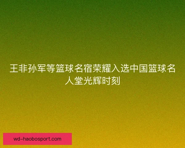 王非孙军等篮球名宿荣耀入选中国篮球名人堂光辉时刻 王非孙军等篮球名宿荣耀入选中国篮球名人堂光辉时刻